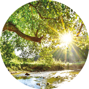 ECO-CUISISNE
